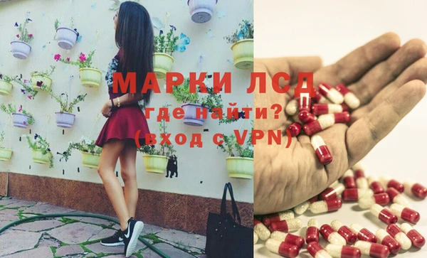 PSILOCYBIN Армянск