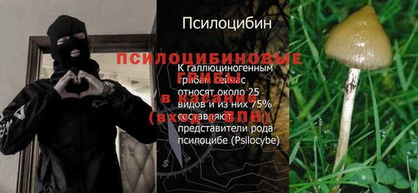 амф Баксан