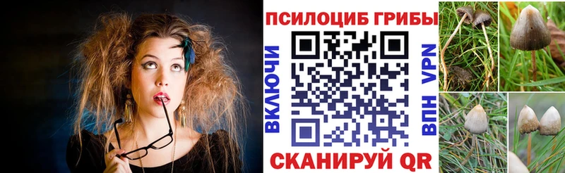 Галлюциногенные грибы Psilocybine cubensis  Жуковский 